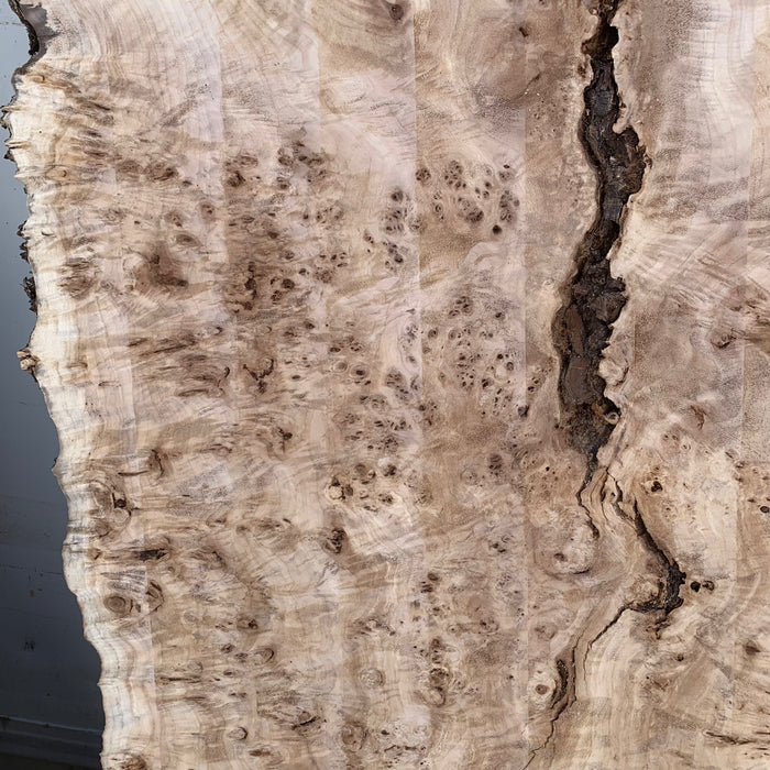 Double Diamond | LiveEdge Mappa Burl | Mappa Burl | Hamilton Lee Supply