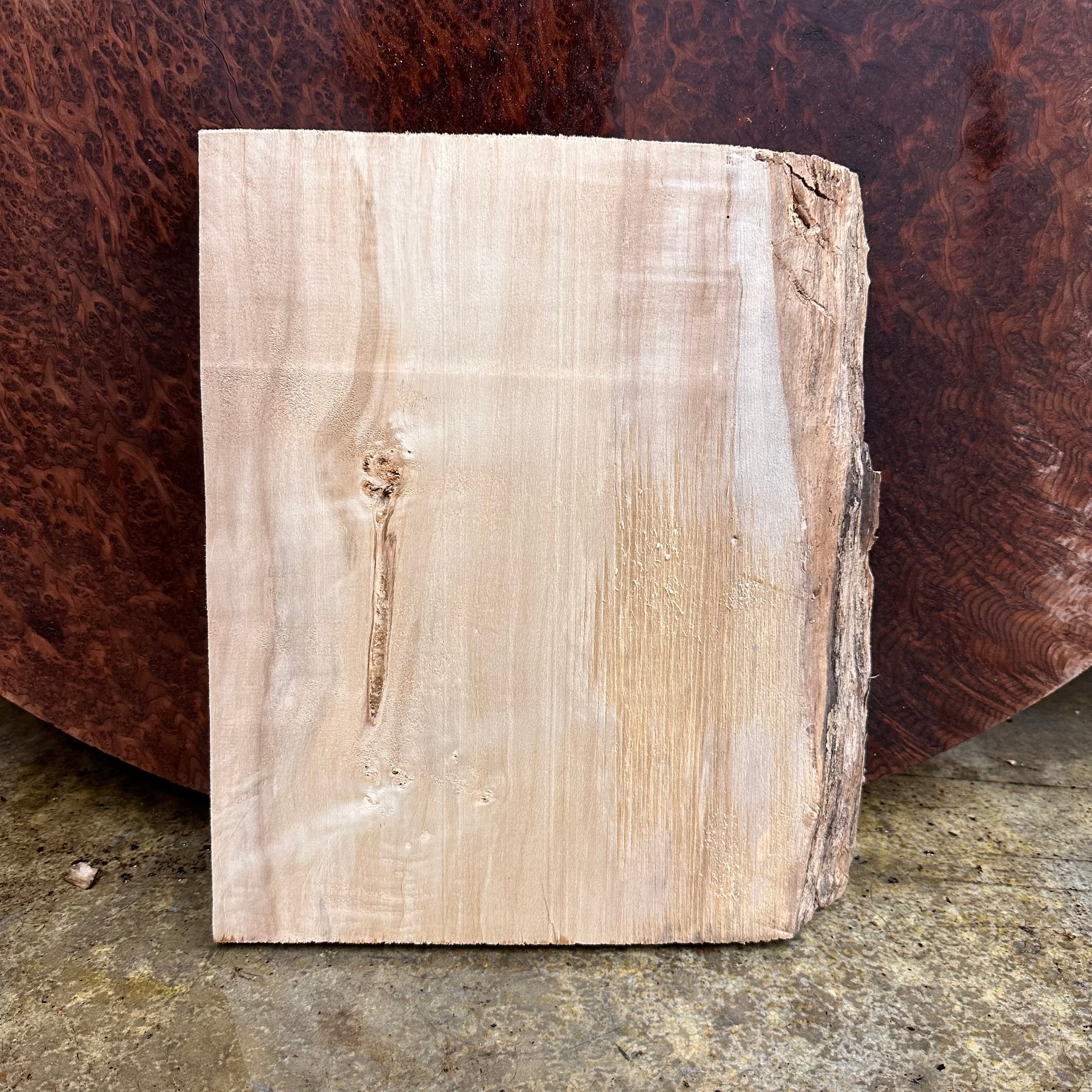 LiveEdge Mappa Burl | | Hamilton Lee Supply