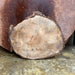 Double Diamond | LiveEdge Silver Maple | | Hamilton Lee Supply