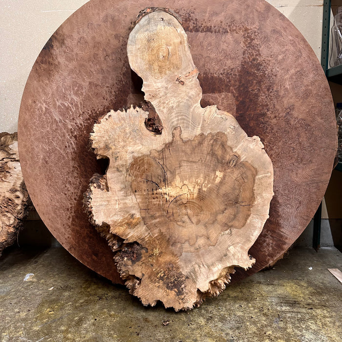 LiveEdge Premium Silver Maple Burl
