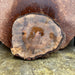 Double Diamond | LiveEdge Silver Maple | | Hamilton Lee Supply