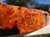 RedFalcon - RedFalcon Juniper Burl Round w/Jet Black Epoxy - Hamilton Lee Supply