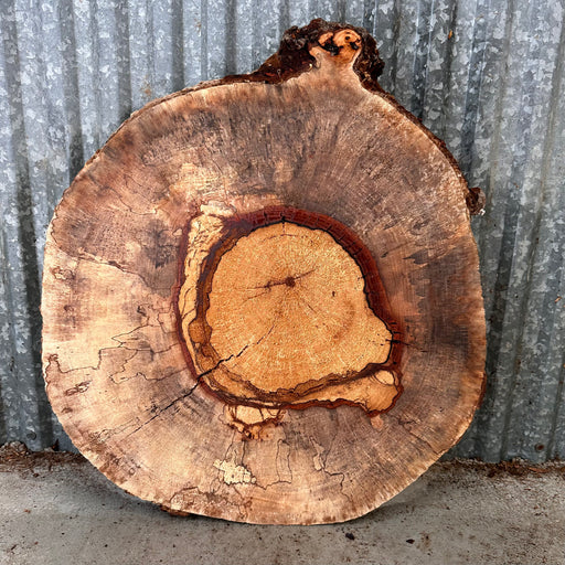 Hamilton Lee Supply | LiveEdge Spalted Pecan | Pecan | Hamilton Lee Supply