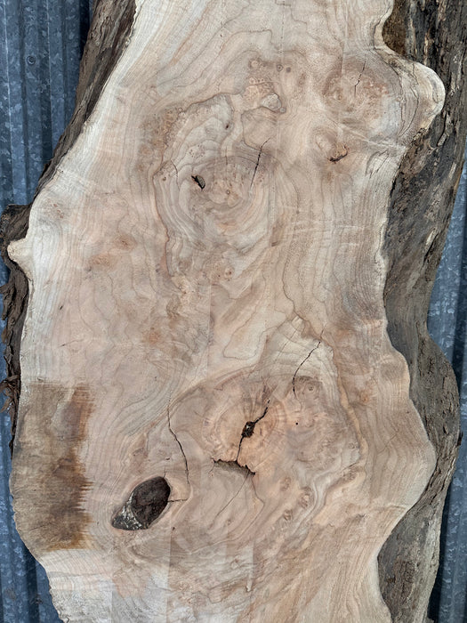 LiveEdge Big Leaf Maple