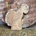 Crazy Grain | LiveEdge Black Locust | Black Locust | Hamilton Lee Supply