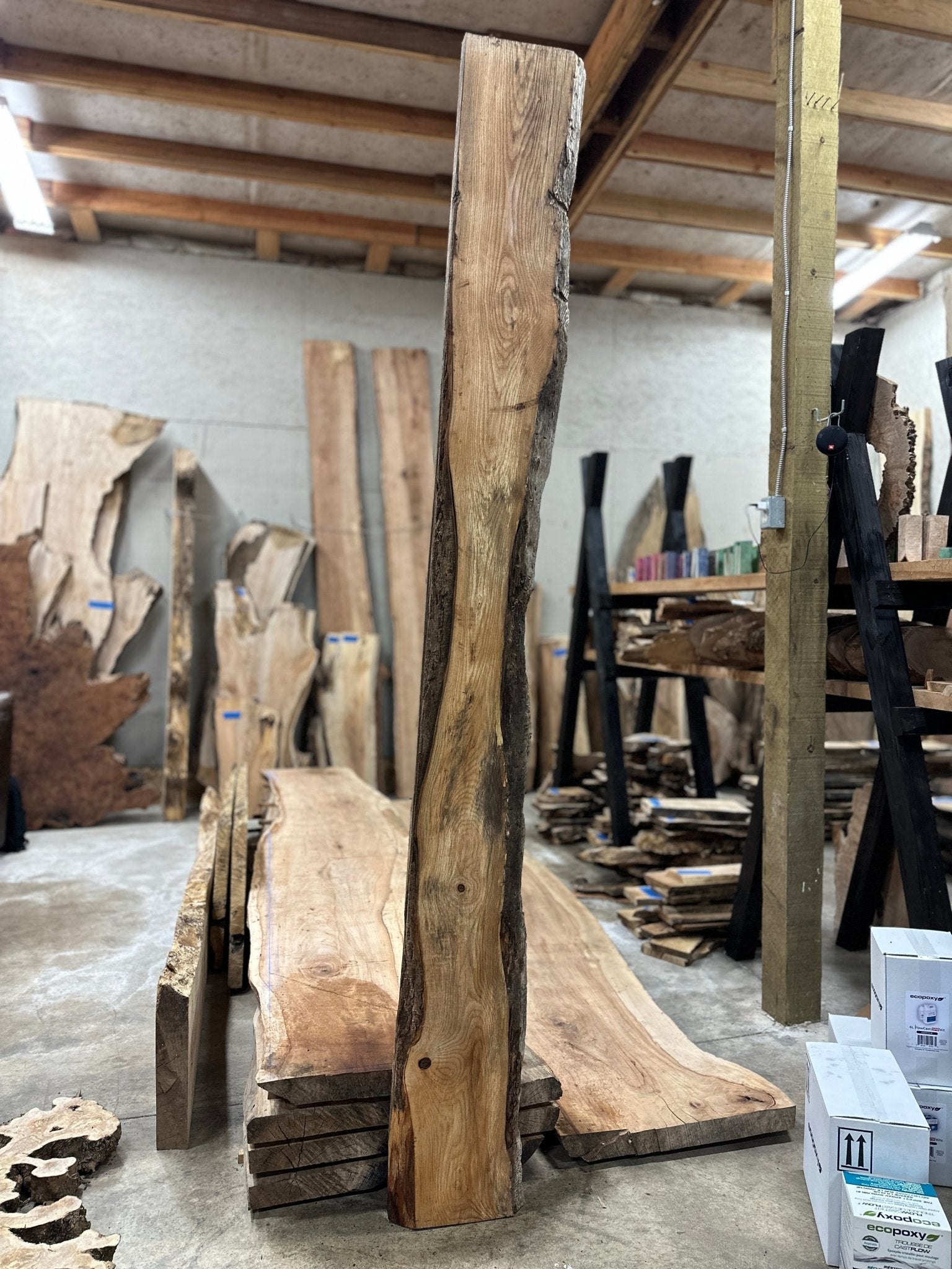 LiveEdge Ash | Ash | Hamilton Lee Supply