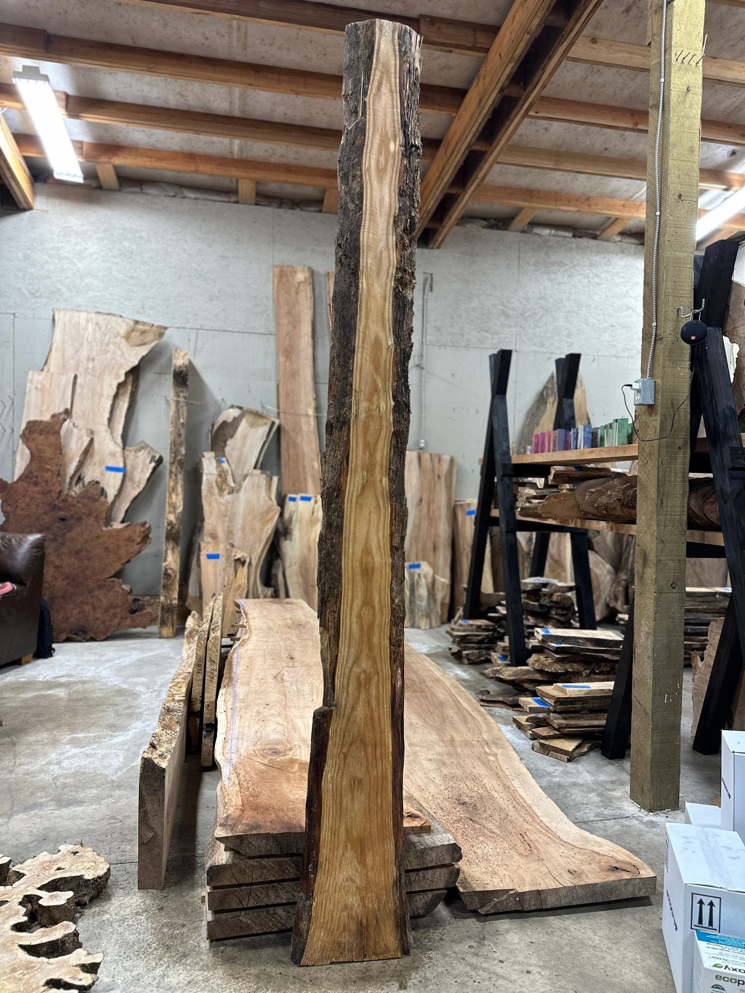 LiveEdge Ash | Ash | Hamilton Lee Supply