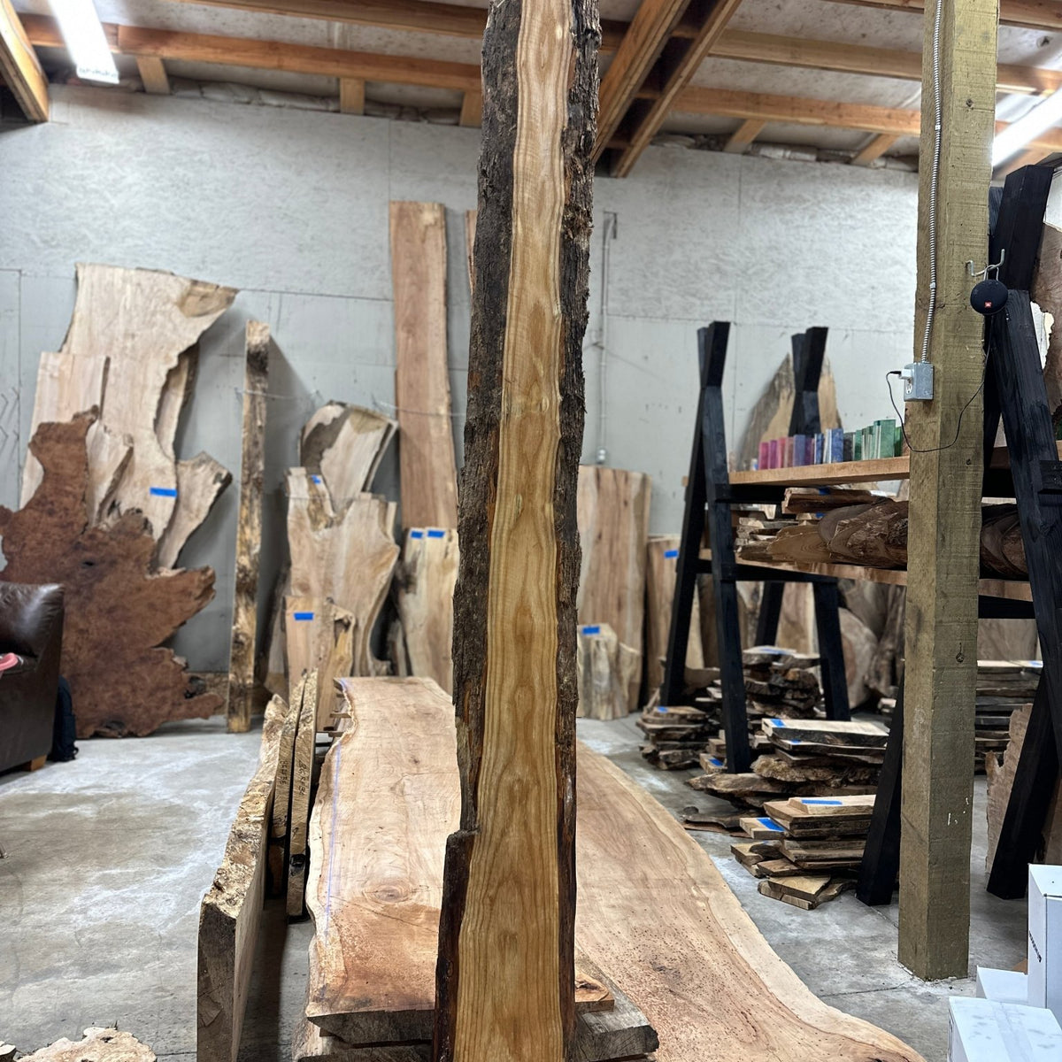 Double Diamond | LiveEdge Ash | Ash | BGDDAS402 – Hamilton Lee Supply