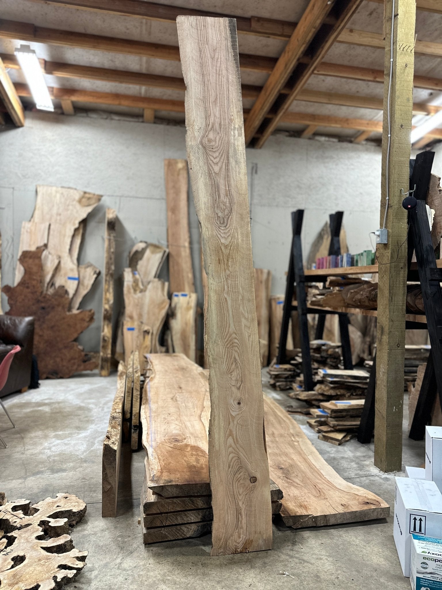 LiveEdge Ash | Ash | Hamilton Lee Supply