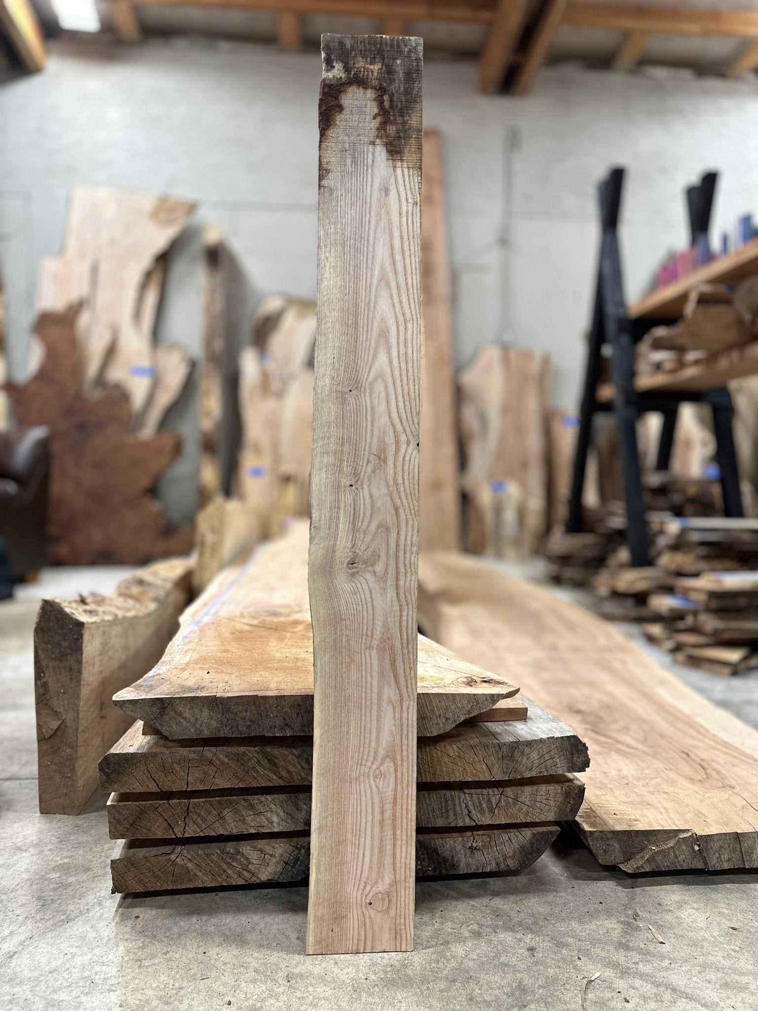 LiveEdge Ash | Ash | Hamilton Lee Supply