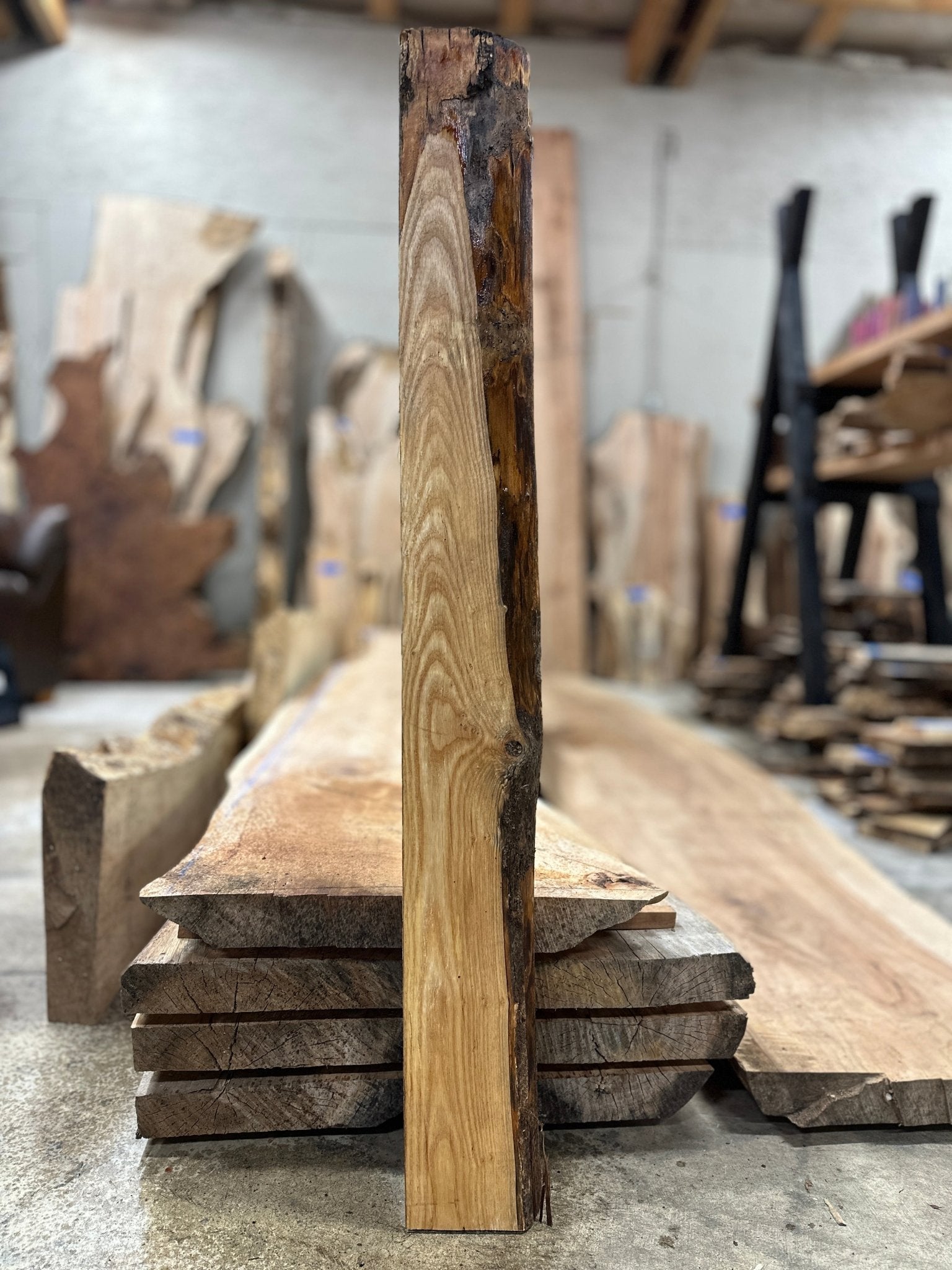 LiveEdge Ash | Ash | Hamilton Lee Supply