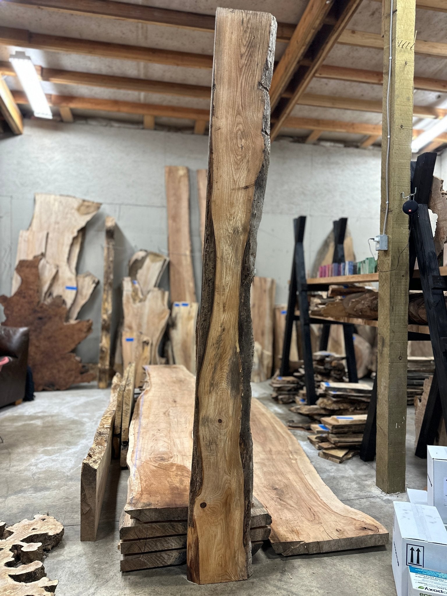 LiveEdge Ash | Ash | Hamilton Lee Supply