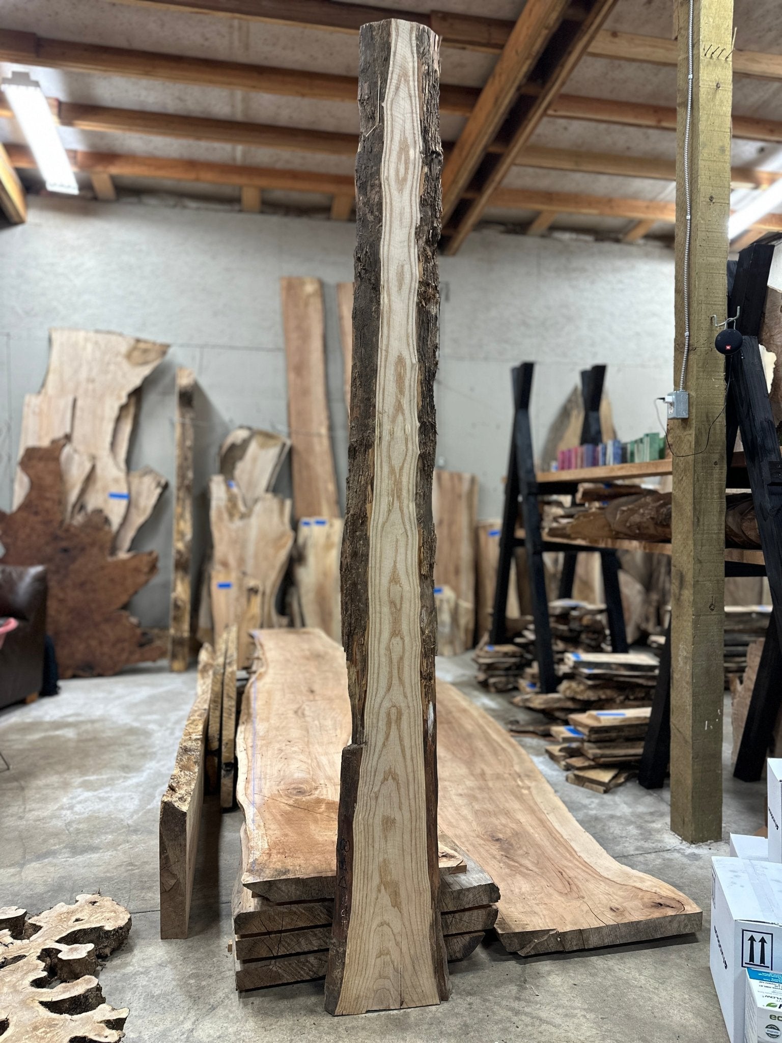 LiveEdge Ash | Ash | Hamilton Lee Supply
