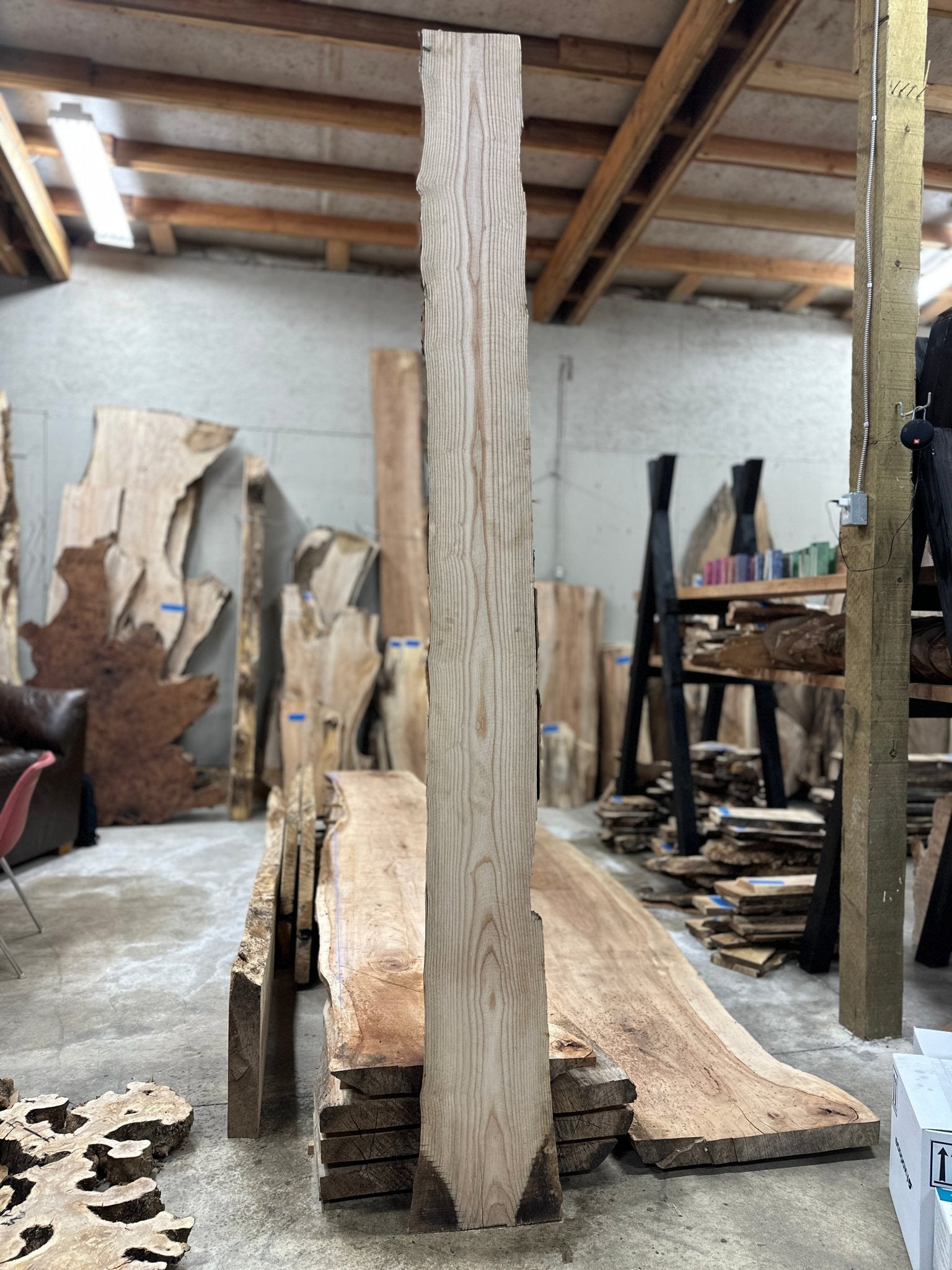 LiveEdge Ash | Ash | Hamilton Lee Supply