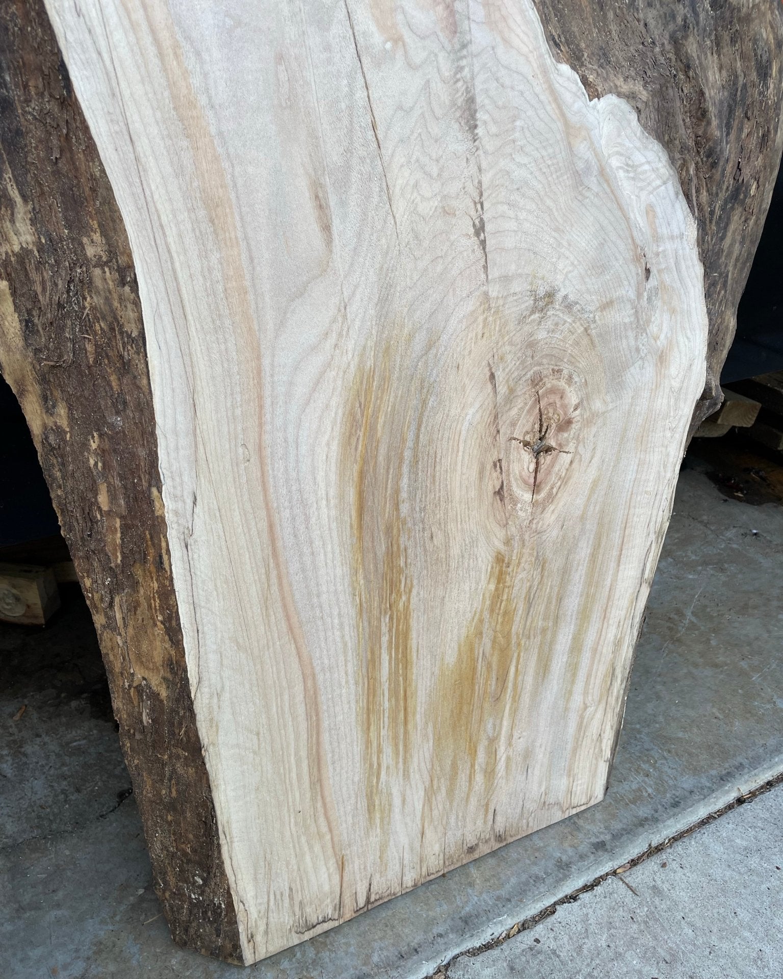 LiveEdge Big Leaf Maple | Craft Wood & Shapes | Hamilton Lee Supply