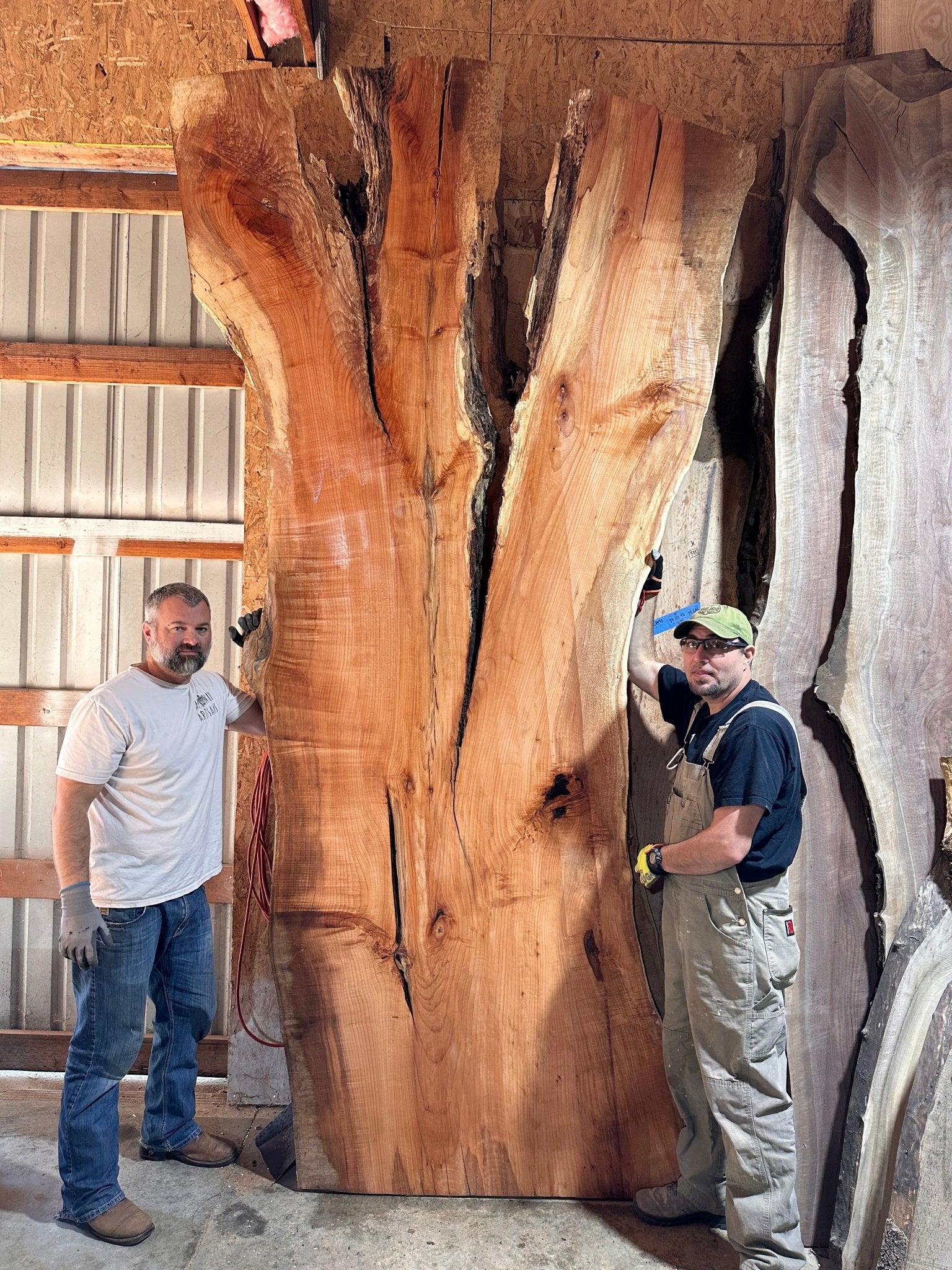 LiveEdge Big Leaf Maple | Big Leaf Maple | Hamilton Lee Supply