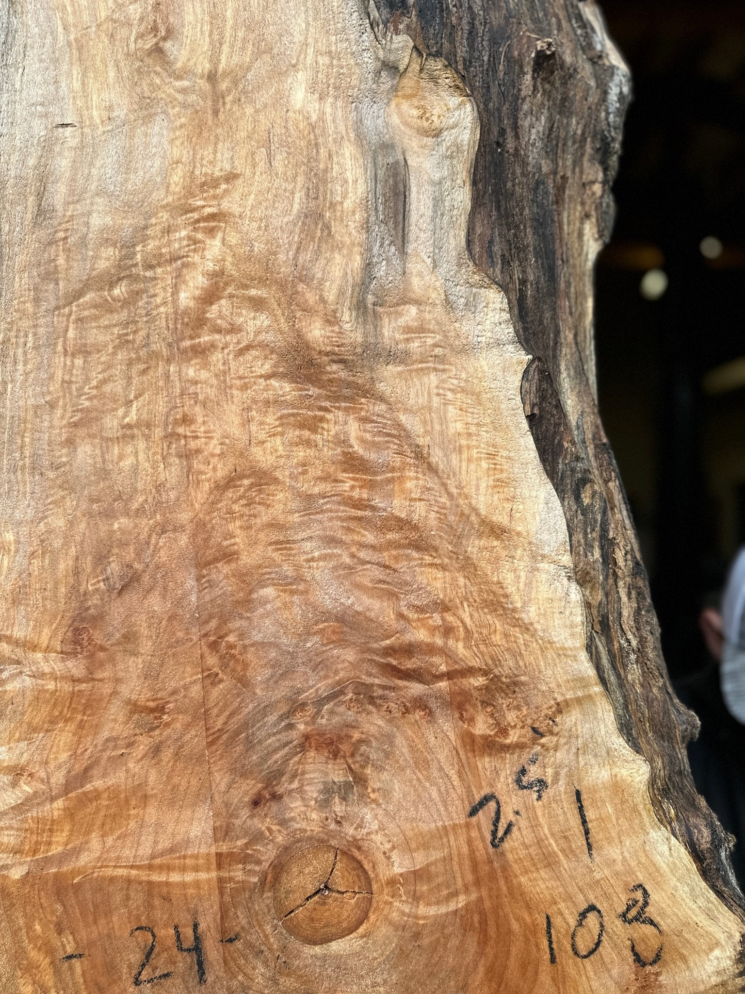 LiveEdge Big Leaf Maple | Big Leaf Maple | Hamilton Lee Supply