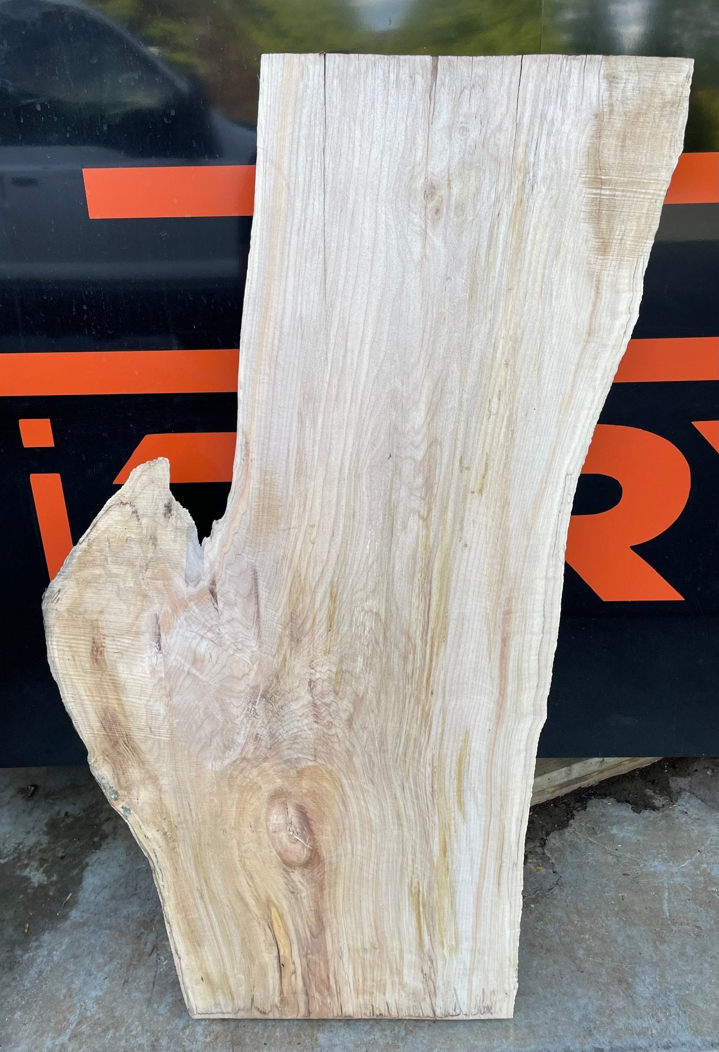 LiveEdge Big Leaf Maple | Craft Wood & Shapes | Hamilton Lee Supply