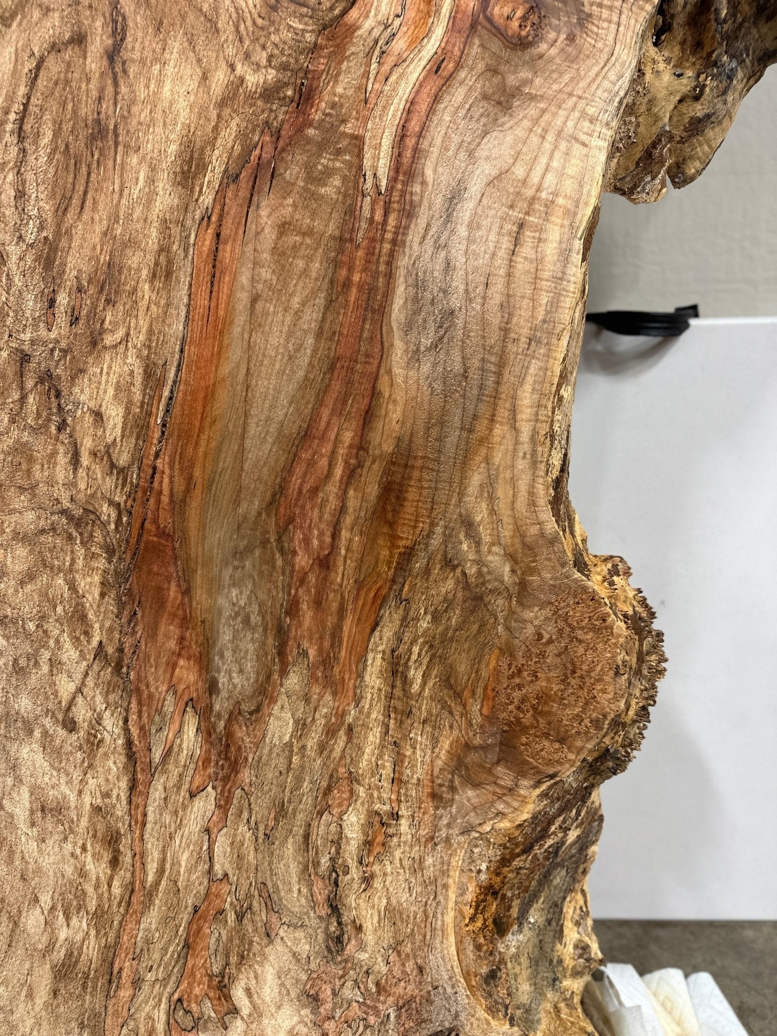 LiveEdge Big Leaf Maple | Big Leaf Maple | Hamilton Lee Supply