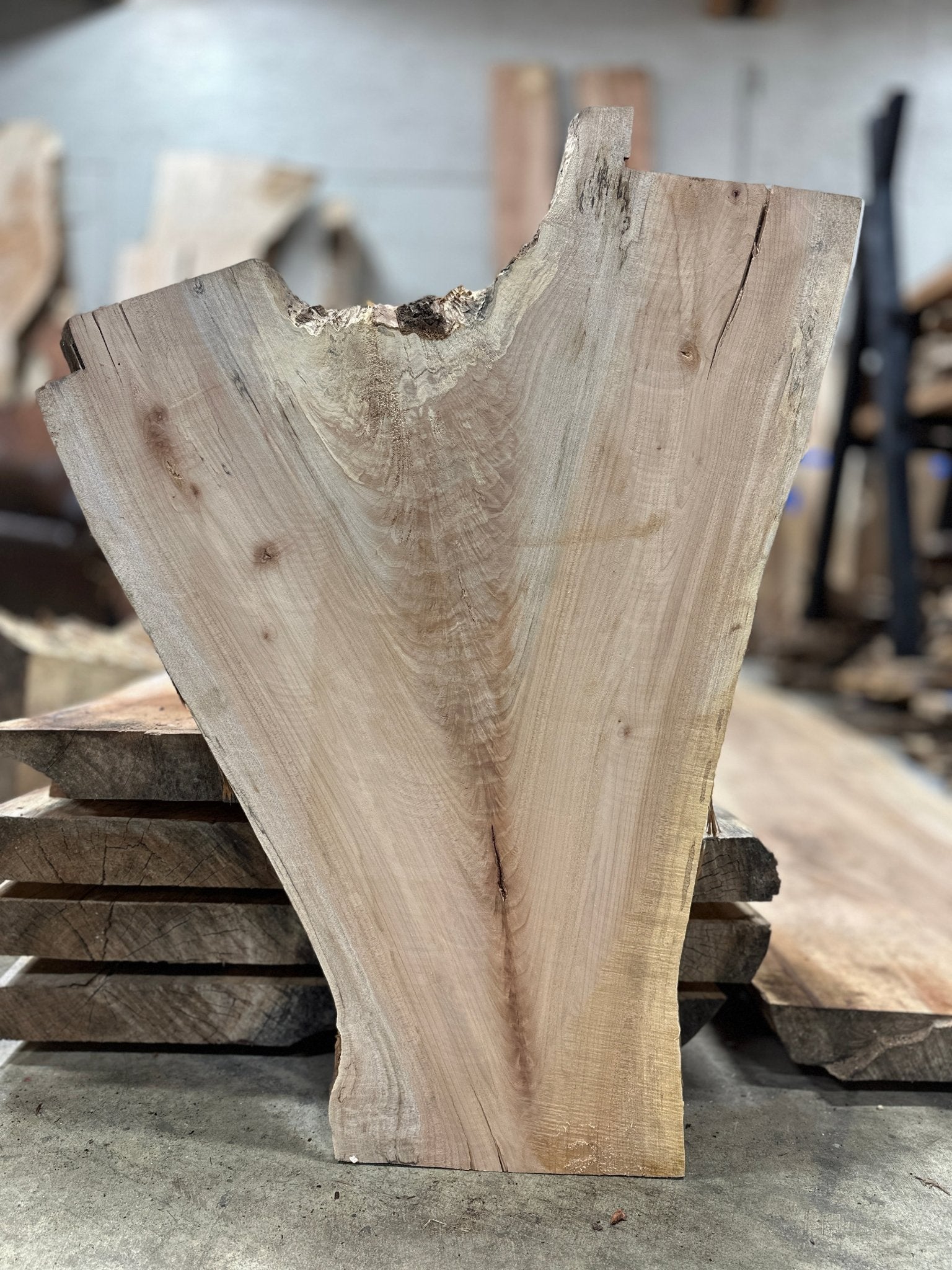 LiveEdge Big Leaf Maple | Big Leaf Maple | Hamilton Lee Supply