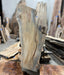 Hamilton Lee Supply | LiveEdge Big Leaf Maple | Big Leaf Maple | Hamilton Lee Supply