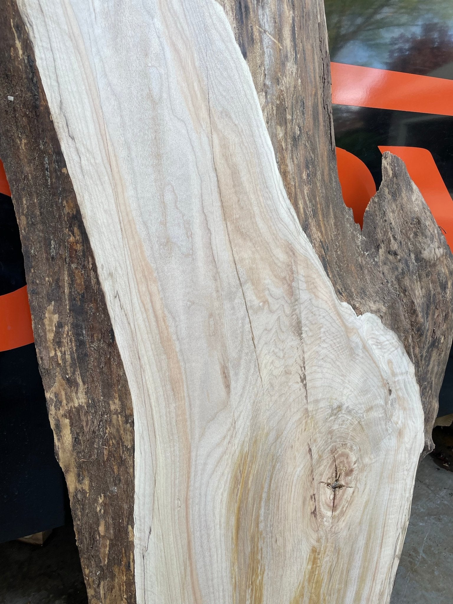 LiveEdge Big Leaf Maple | Craft Wood & Shapes | Hamilton Lee Supply