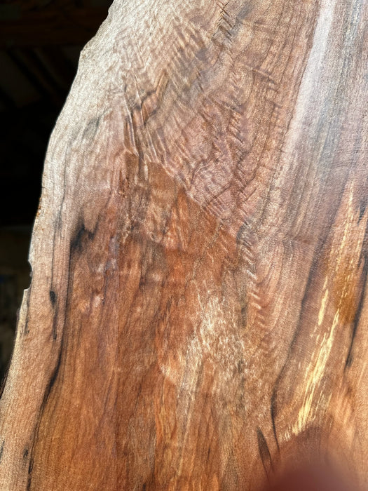Double Diamond | LiveEdge Big Leaf Maple | Big Leaf Maple | Hamilton Lee Supply