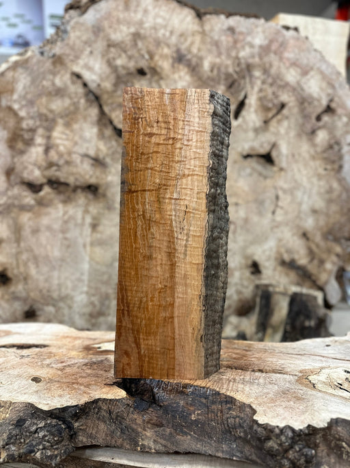 https://hamiltonleesupply.com/cdn/shop/products/liveedge-big-leaf-maple-431322_512x683.jpg?v=1694159426