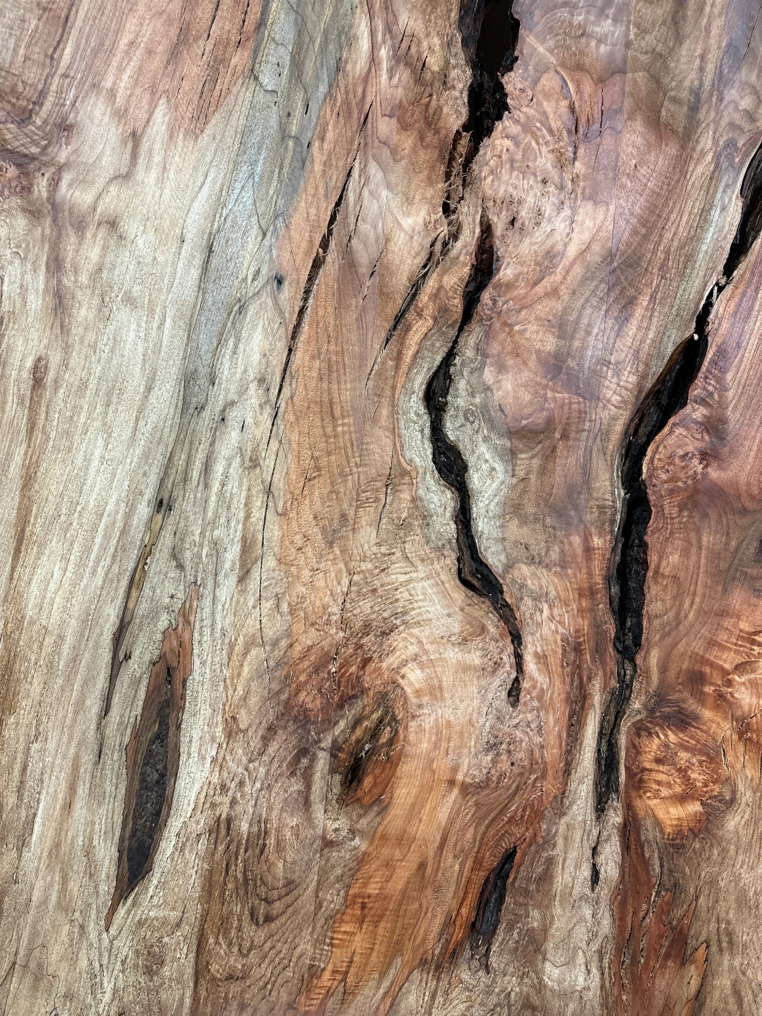 LiveEdge Big Leaf Maple | Big Leaf Maple | Hamilton Lee Supply