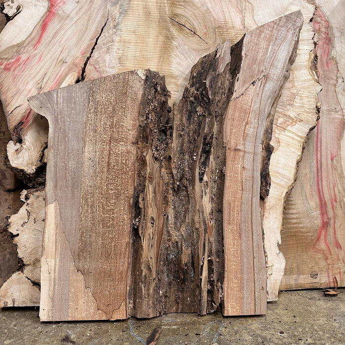 Double Diamond | LiveEdge Big Leaf Maple | Big Leaf Maple | Hamilton Lee Supply