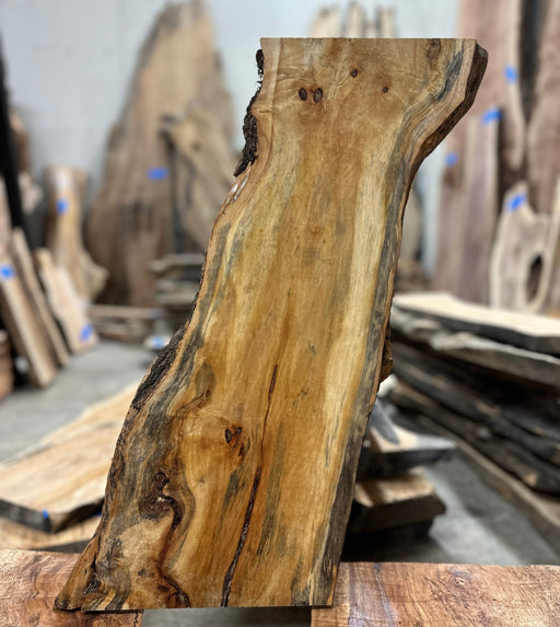 https://hamiltonleesupply.com/cdn/shop/products/liveedge-big-leaf-maple-504150_512x574.jpg?v=1689914388