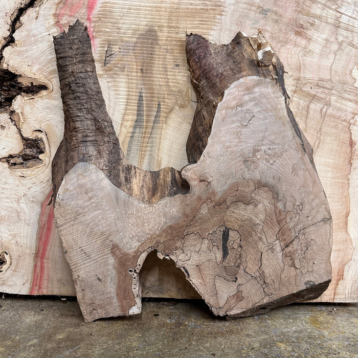 Double Diamond | LiveEdge Big Leaf Maple | Big Leaf Maple | Hamilton Lee Supply