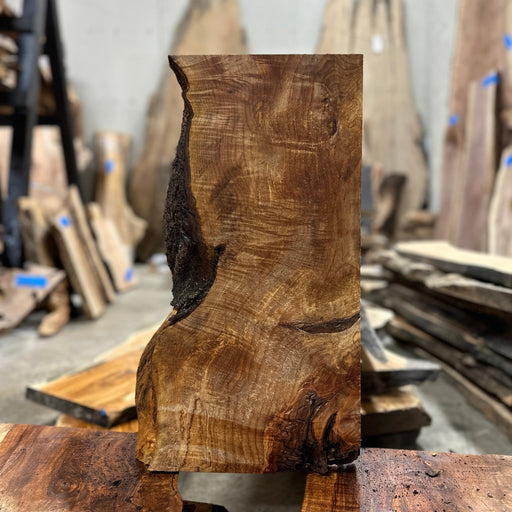 https://hamiltonleesupply.com/cdn/shop/products/liveedge-big-leaf-maple-628989_512x512.jpg?v=1691202531