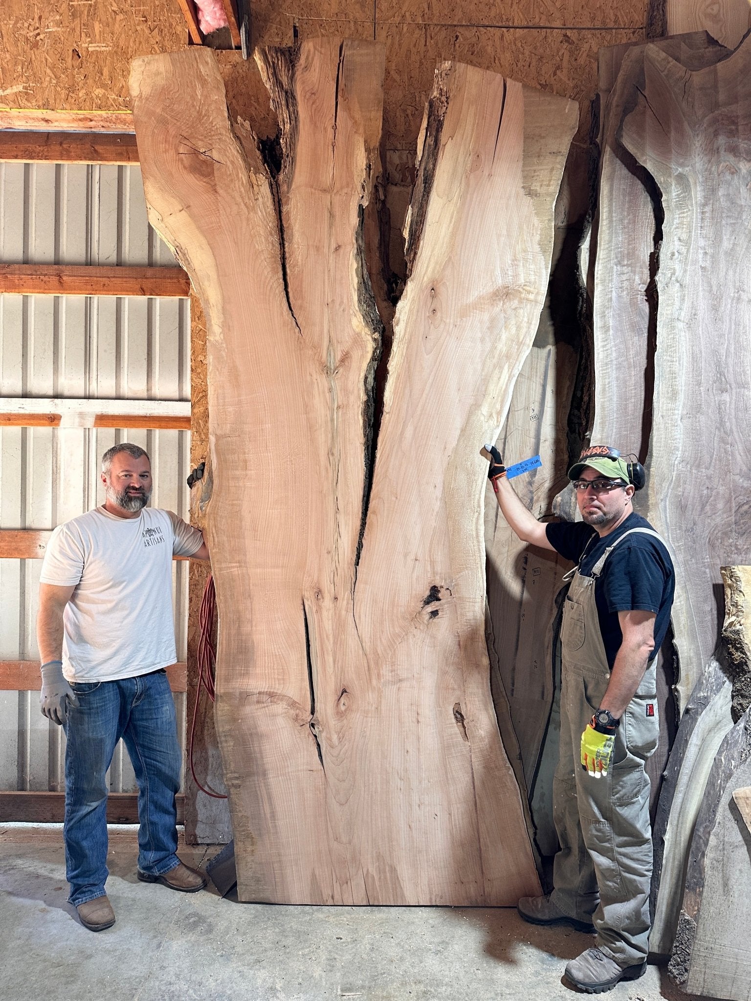 Ringerike retailer great beast Live edge linden slice