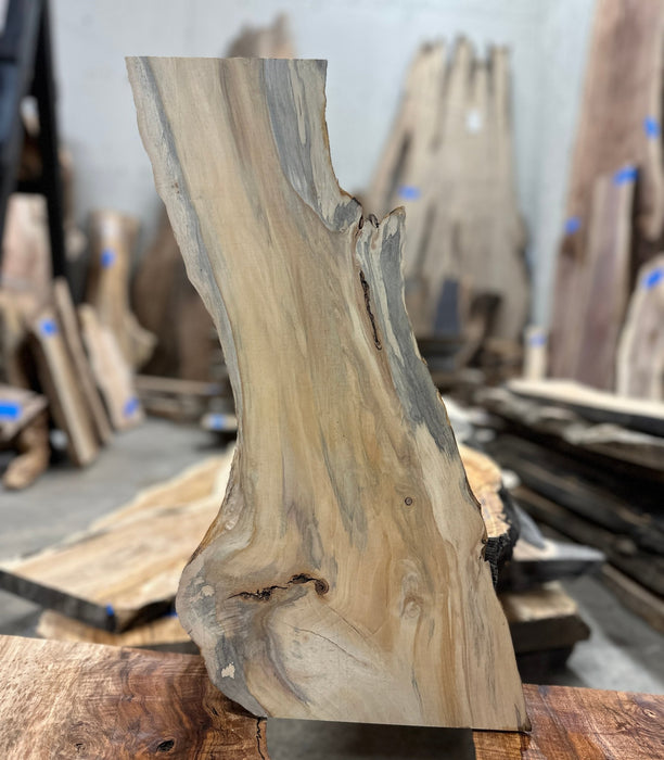 Hamilton Lee Supply | LiveEdge Big Leaf Maple | Big Leaf Maple | Hamilton Lee Supply