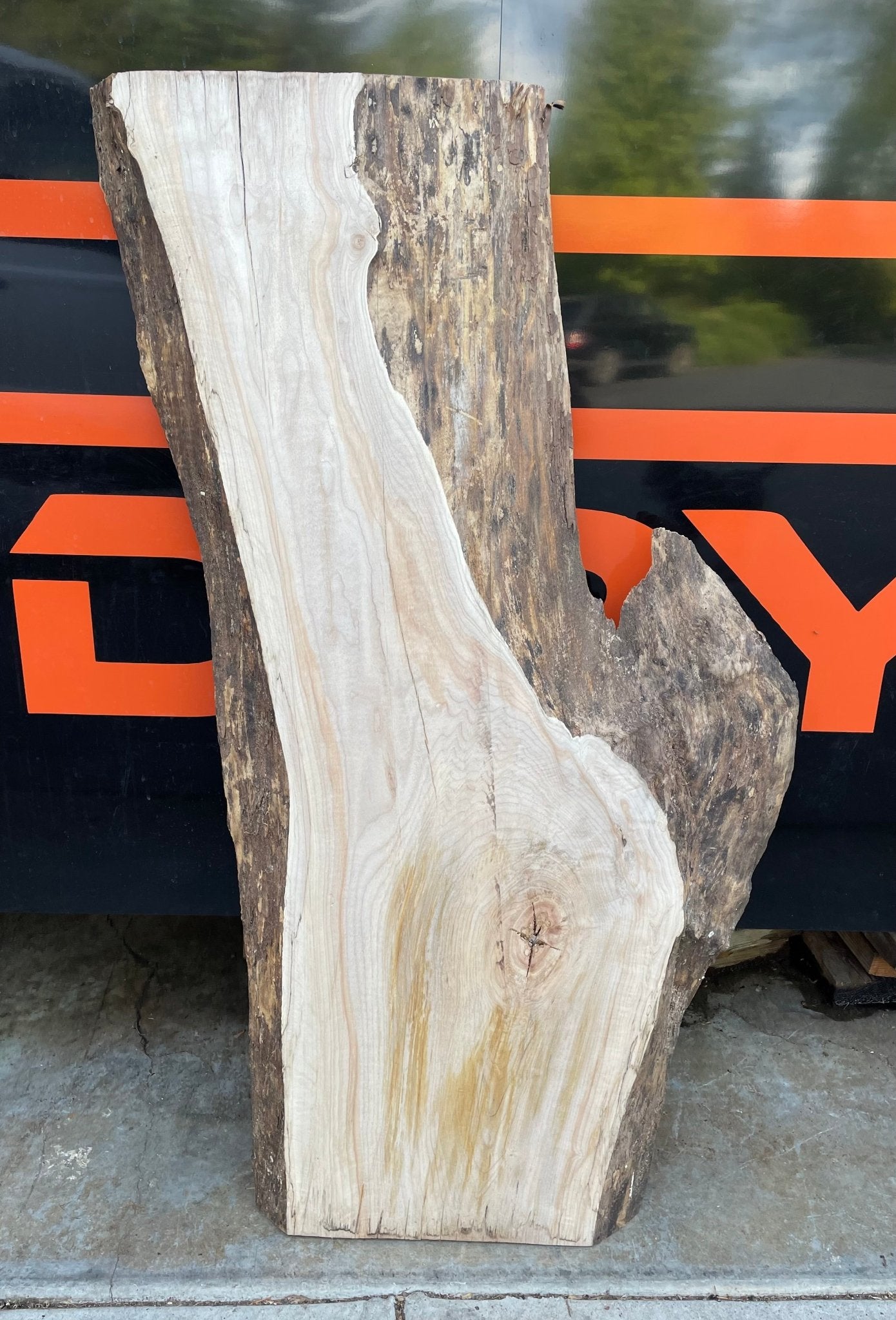 LiveEdge Big Leaf Maple | Craft Wood & Shapes | Hamilton Lee Supply