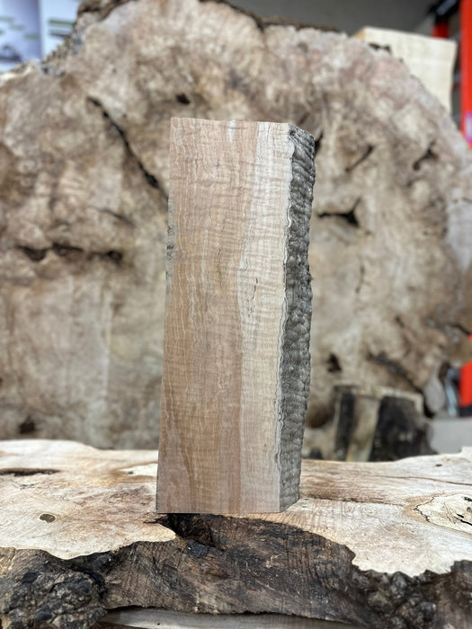 Double Diamond | LiveEdge Big Leaf Maple | Big Leaf Maple | Hamilton Lee Supply
