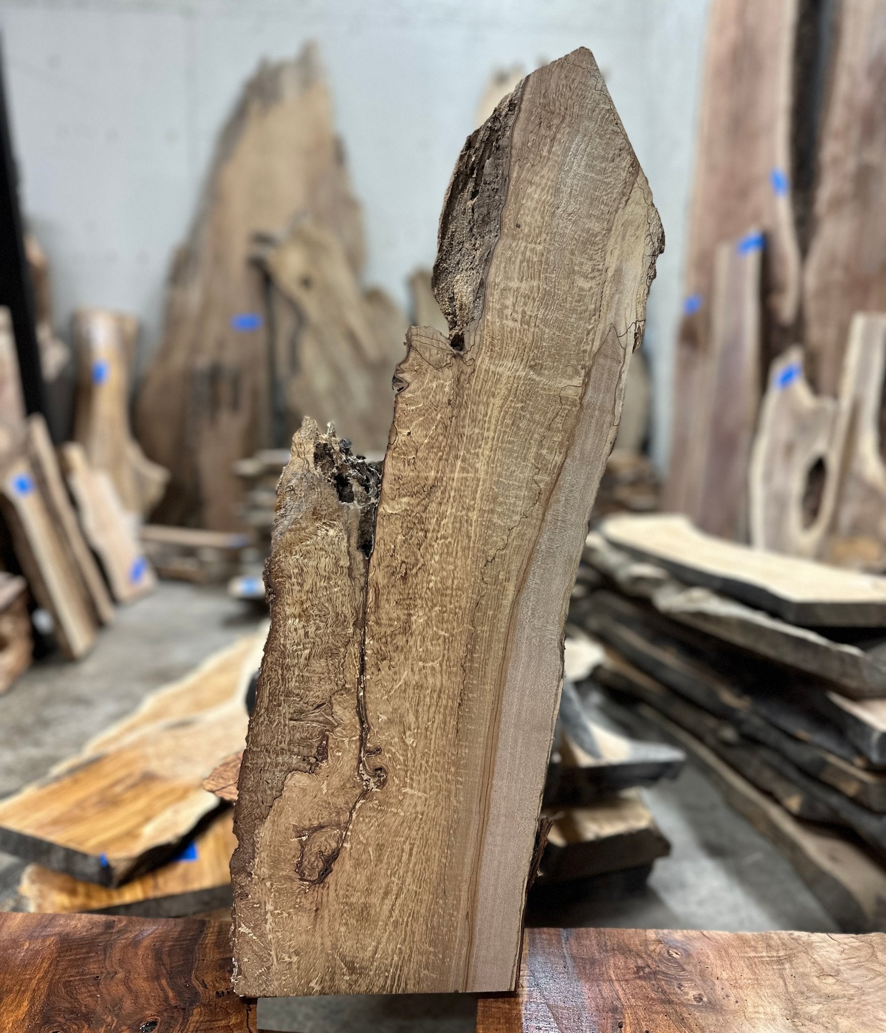LiveEdge Big Leaf Maple | Big Leaf Maple | Hamilton Lee Supply