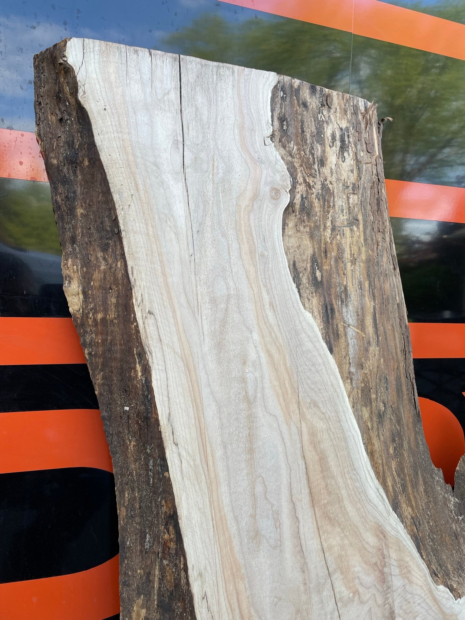 LiveEdge Big Leaf Maple | Craft Wood & Shapes | Hamilton Lee Supply