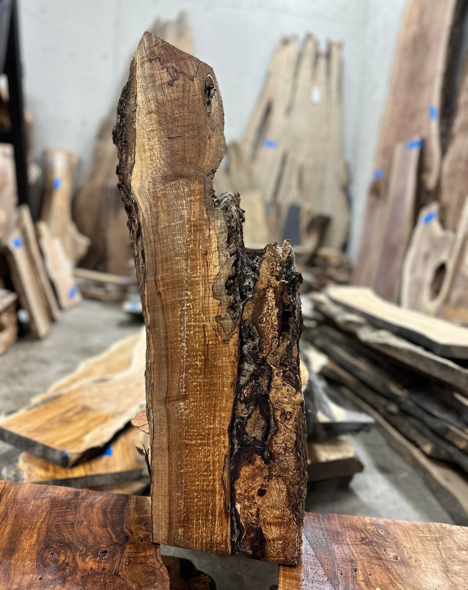 LiveEdge Big Leaf Maple | Big Leaf Maple | Hamilton Lee Supply