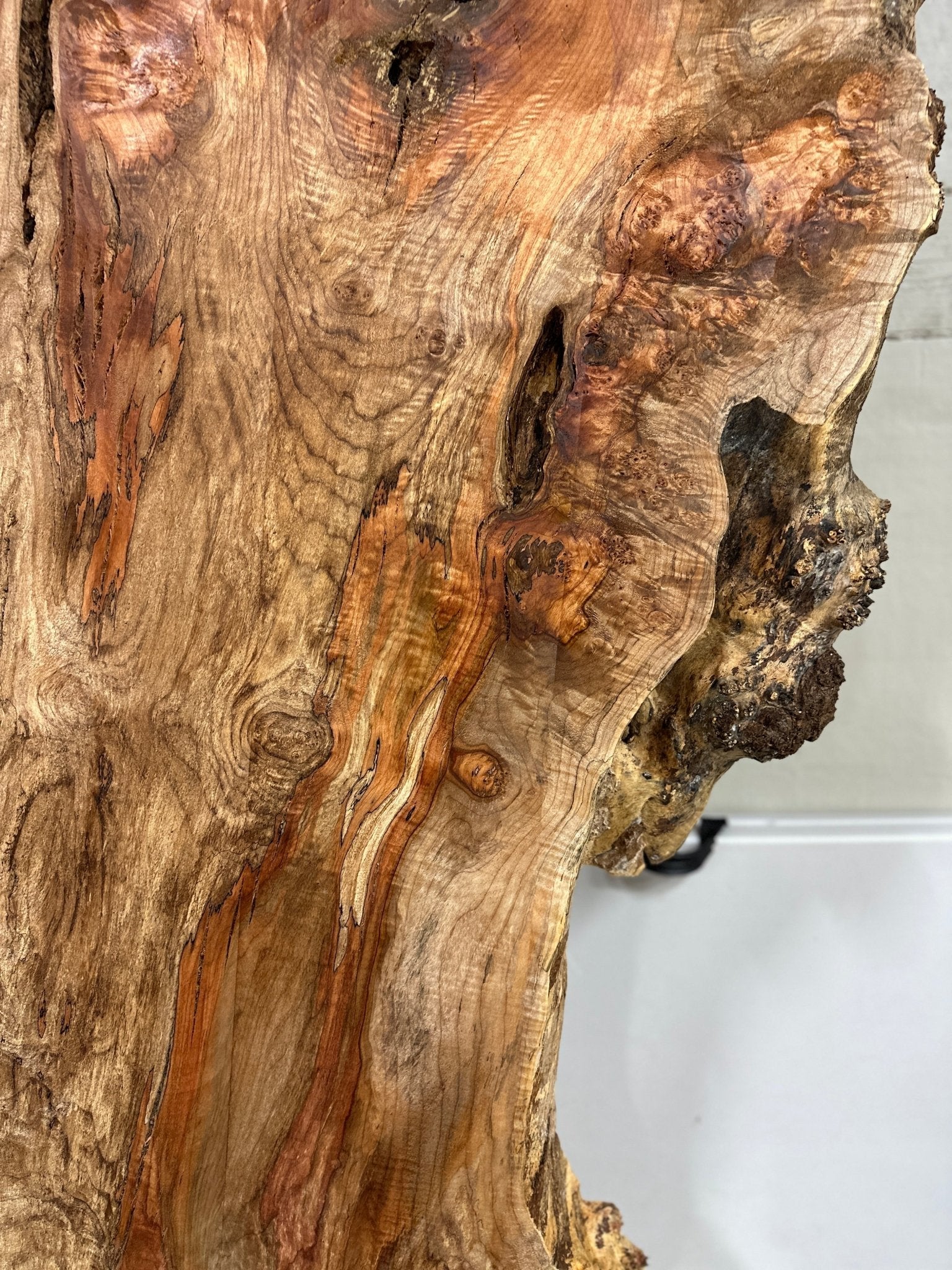 LiveEdge Big Leaf Maple | Big Leaf Maple | Hamilton Lee Supply