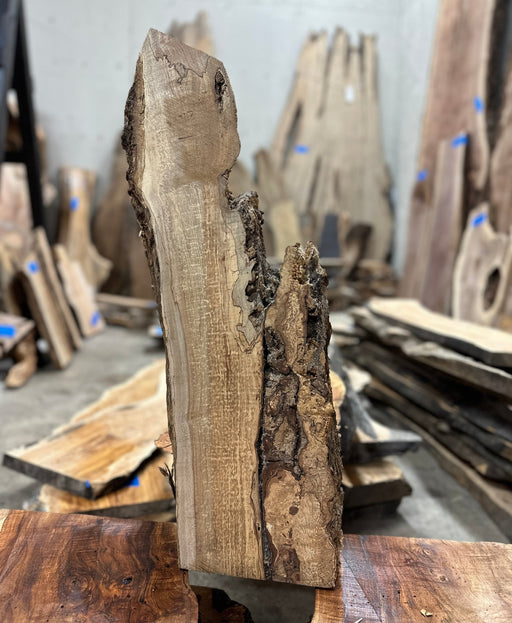 Live Edge Cutting Board With Handle — Lost Objects, Found Treasures