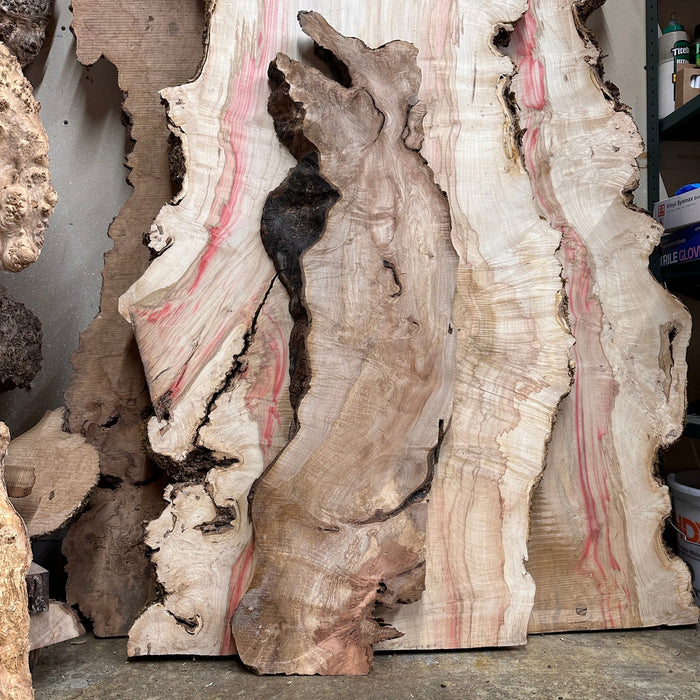 Double Diamond | LiveEdge Big Leaf Maple | Big Leaf Maple | Hamilton Lee Supply