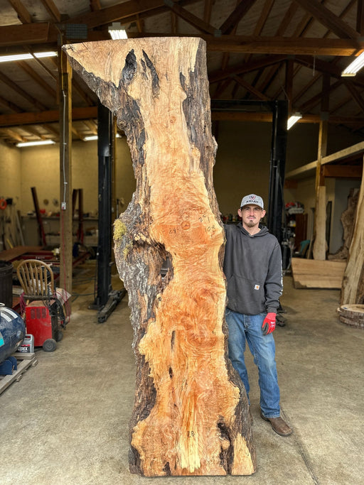 Double Diamond | LiveEdge Big Leaf Maple | Big Leaf Maple | Hamilton Lee Supply