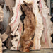 Double Diamond | LiveEdge Big Leaf Maple | Big Leaf Maple | Hamilton Lee Supply