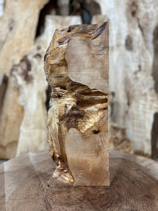 https://hamiltonleesupply.com/cdn/shop/products/liveedge-big-leaf-maple-big-leaf-maple-hamilton-lee-supply-134708_512x683.jpg?v=1703869636