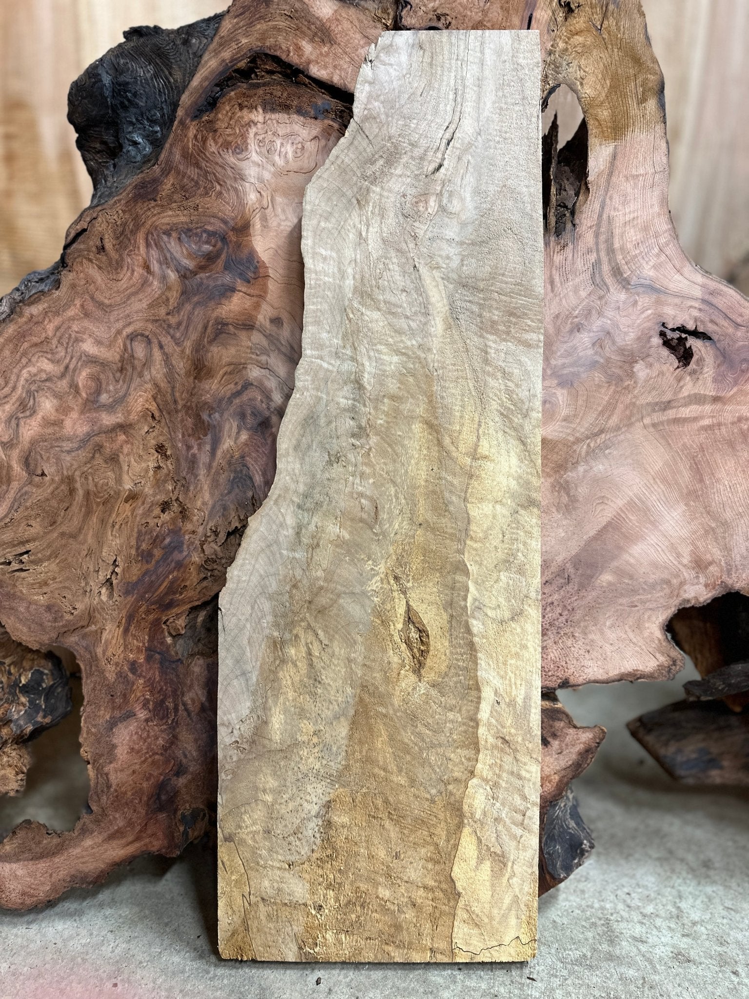 LiveEdge Big Leaf Maple | Big Leaf Maple | Hamilton Lee Supply