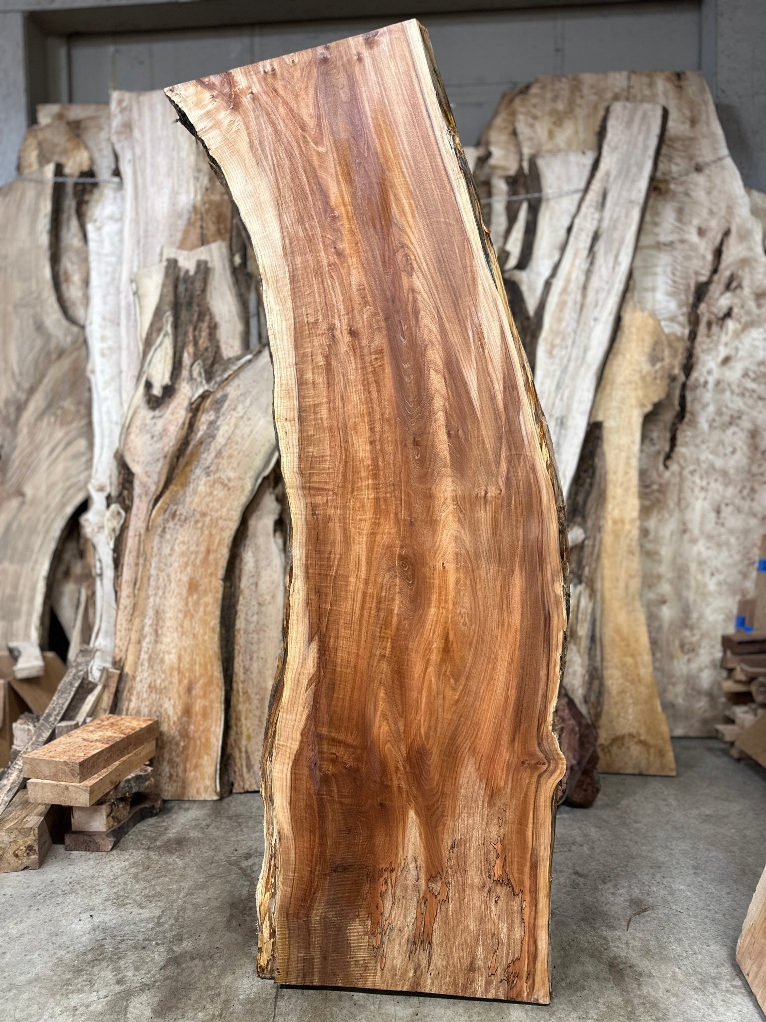 LiveEdge Big Leaf Maple | Big Leaf Maple | Hamilton Lee Supply