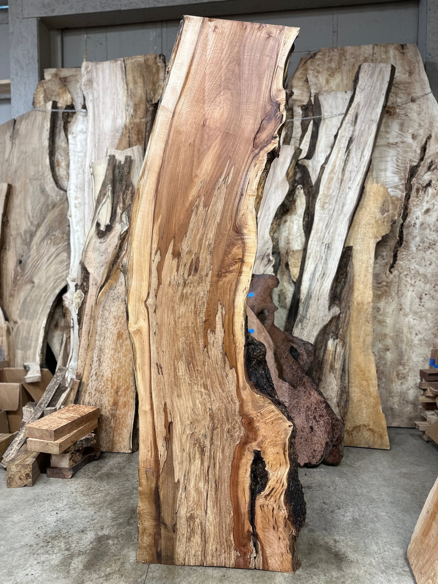 LiveEdge Big Leaf Maple | Big Leaf Maple | Hamilton Lee Supply