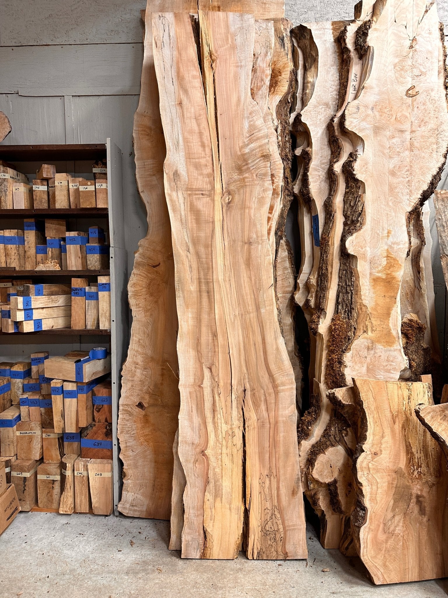 LiveEdge Big Leaf Maple | Big Leaf Maple | Hamilton Lee Supply